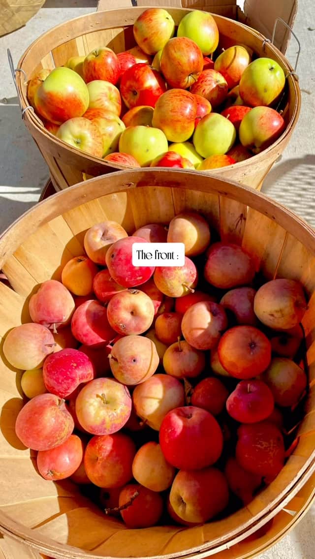 It’s apples every day, all day right now.