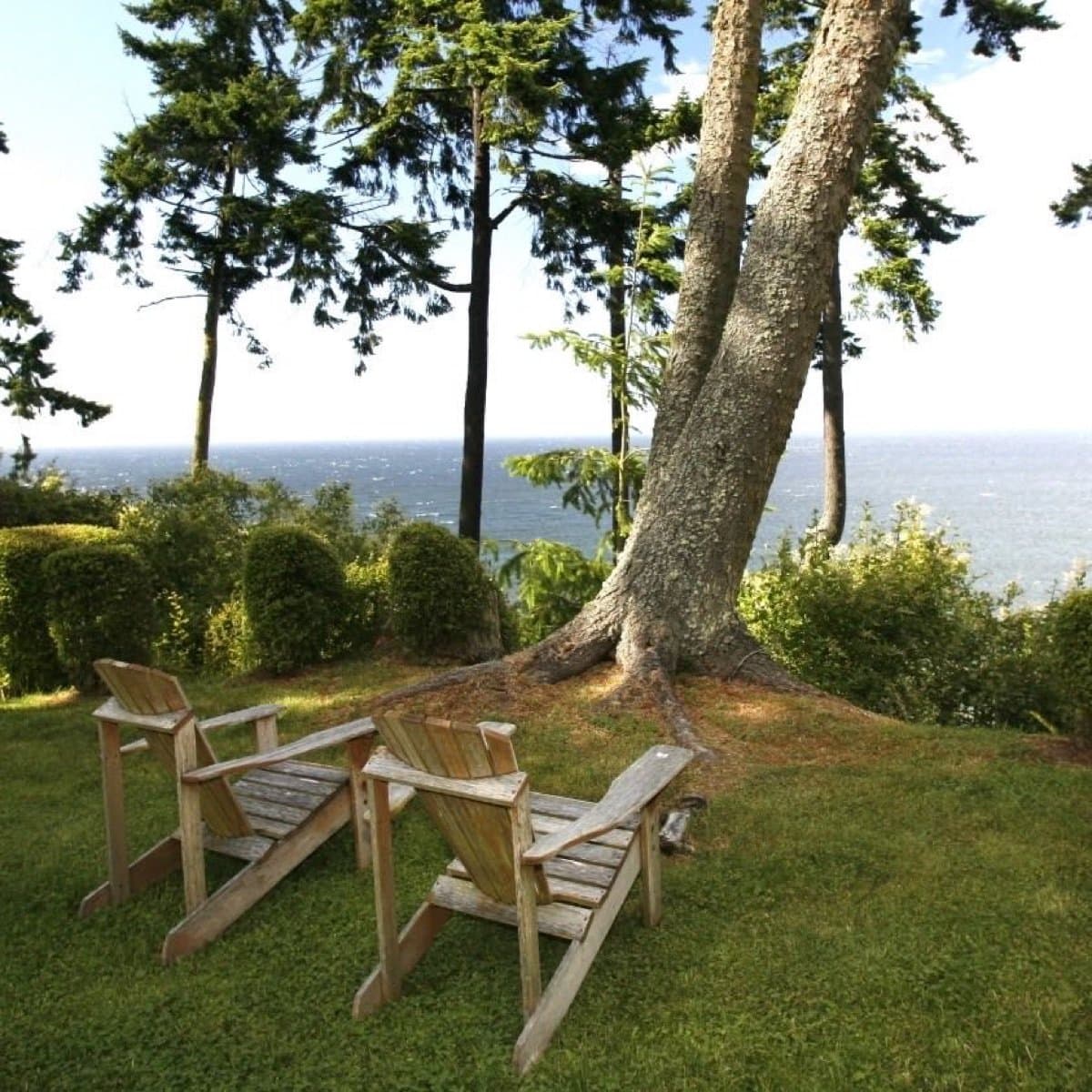 Lavender fields view with chairs