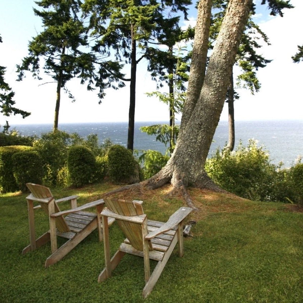 Lavender fields view with chairs